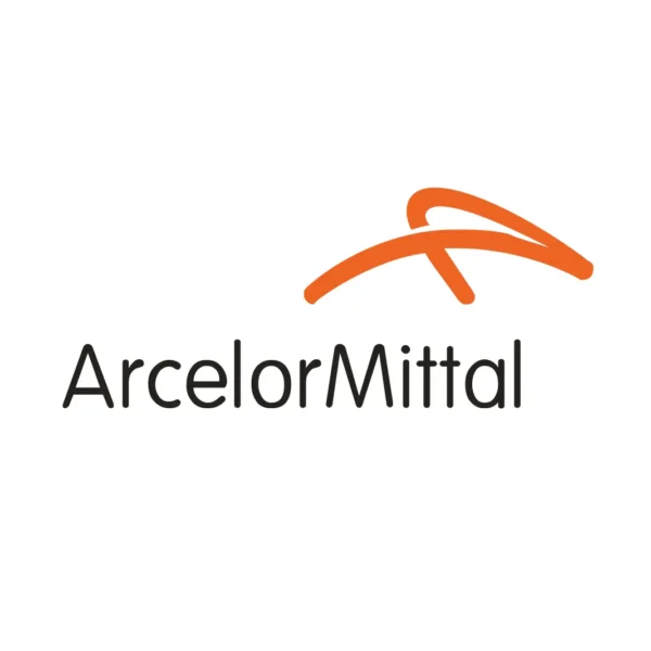 Est-ce que l’Etat peut (doit) tout faire ?                                                                                                    L’exemple ArcelorMittal